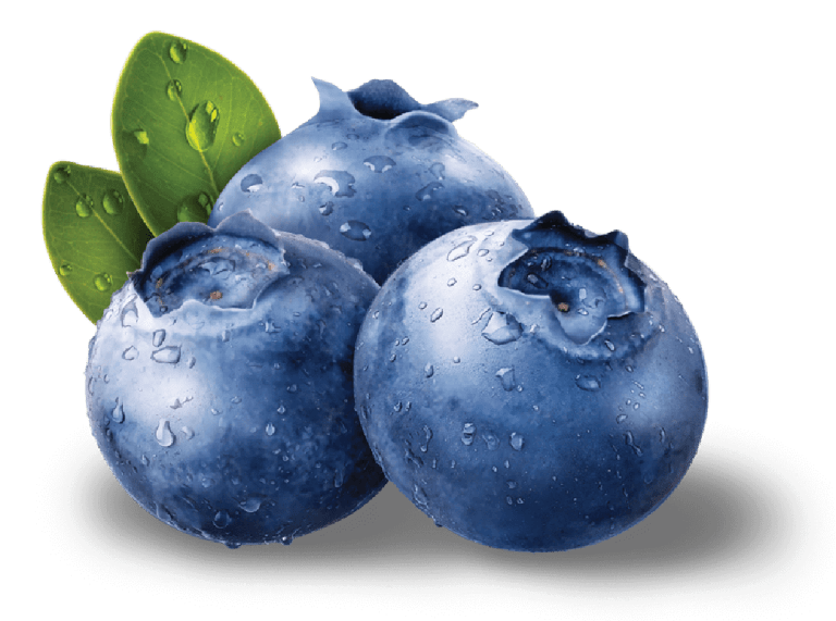 blueberry-png-float